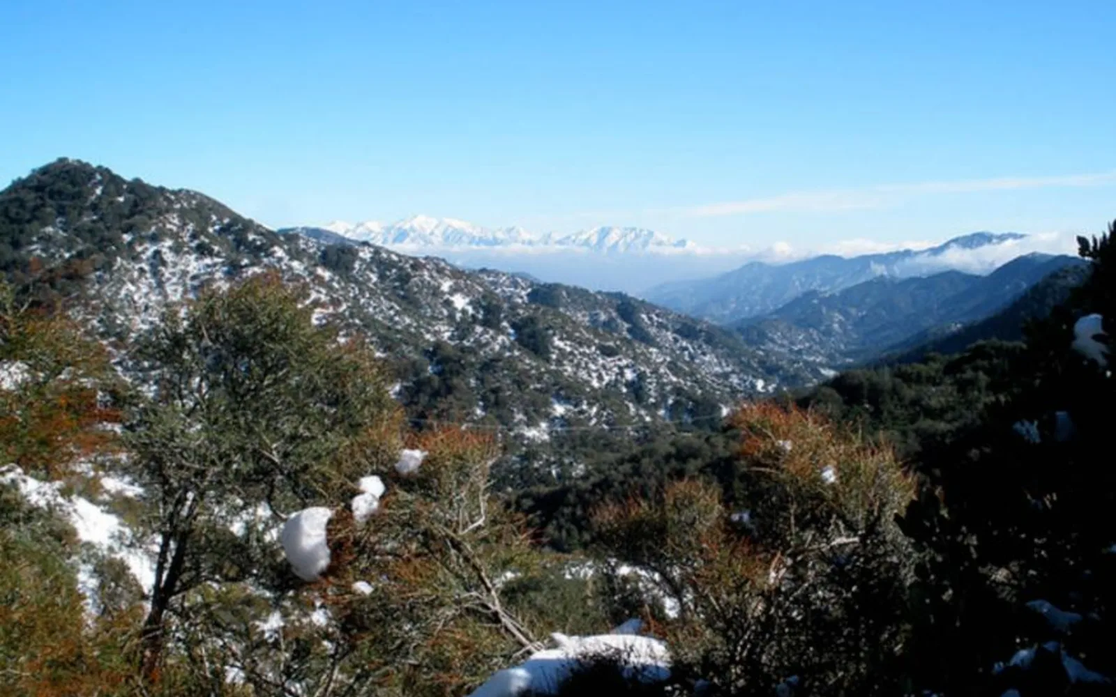View of the San Gabriel Mountains in Los Angeles County from a low angle perspective